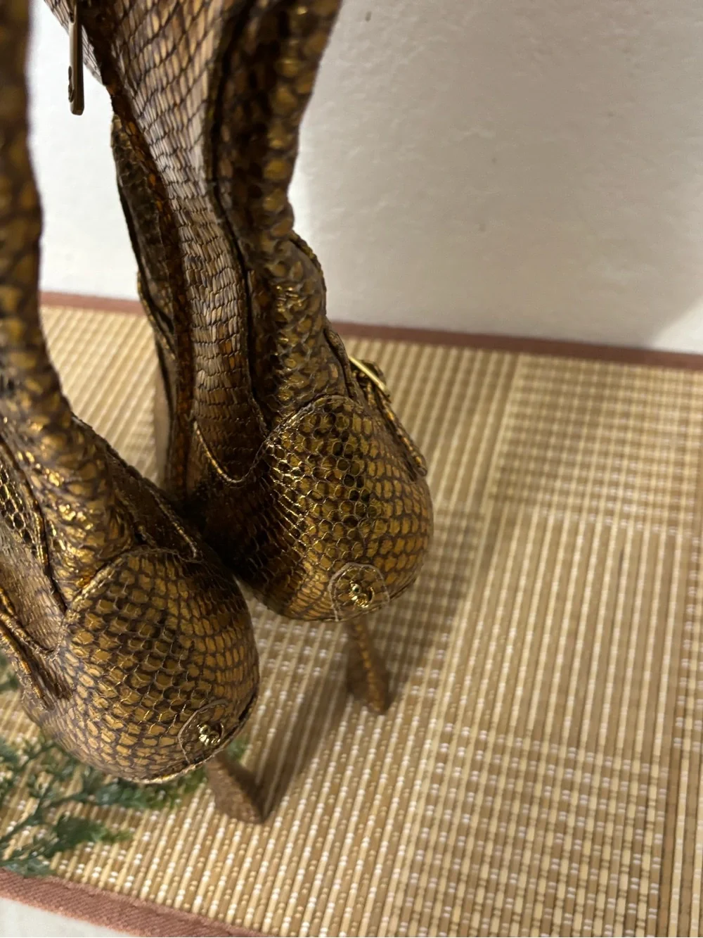 Sam Edelman Woman ELIA Medallion Gold Snake Knee High Boot Size: 8.5M